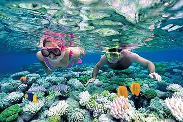 Full-Day Snorkeling at Marietas Islands with Lunch