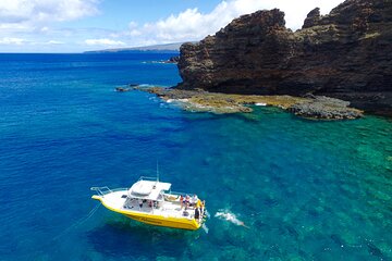 6-Hour Lanai Snorkel & Dolphin Tour from Lahaina