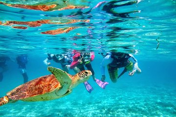 * ZAMAMI Island * Kayak & Snorkeling half day tour