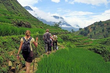 Sapa Lao Chai and Ta Van Village Trekking Day Tour
