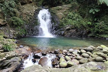 Trekking in Bach Ma National Park Private Guided Tour