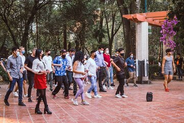 Salsa lesson and make friends