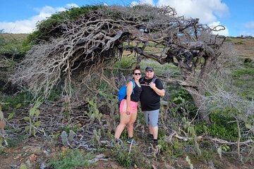Half Day Private Tour Arikok National Park & Snorkel with Lunch