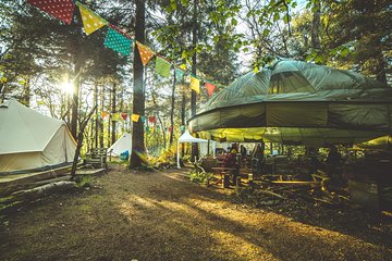 Introduction to surfing & wild camping weekend