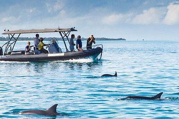 Josani Forest & Dolphin Tour Snorkeling Sea trip Hals Day - Zanzibar