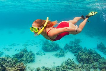 Snorkeling adventure in Cozumel, transport included from Cancun and Riviera Maya
