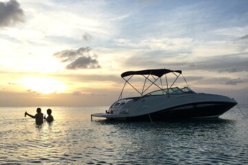 Private Charter - Stingray City, Starfish Point & Rum Point Snorkelling