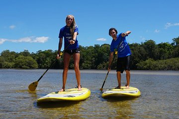 Stand Up Paddle Boarding Byron Bay