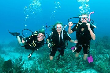 Ras Mohamed and White Island Snorkeling Trip and 15 min Diving - Sharm El Shiekh