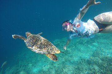 Half Day Group Tour to Mnemba Island for Snorkeling Activities