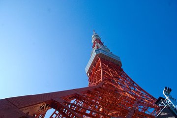 Private Tokyo Custom Full-Day Tour by Chartered Vehicle
