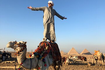 Full day Pyramids,Sphinx , new Muesum of civilization , private Guide