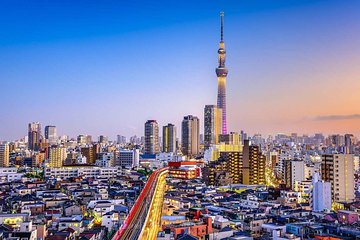 Tokyo Private Tour by Car / Van - Guide Option Available