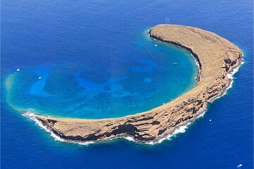 Molokini Crater plus Turtle Town Snorkeling 4-hour Tour