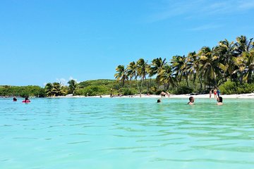 Isla Contoy and Isla Mujeres Combo Nature Tour from Riviera Maya with Snorkeling and Lunch