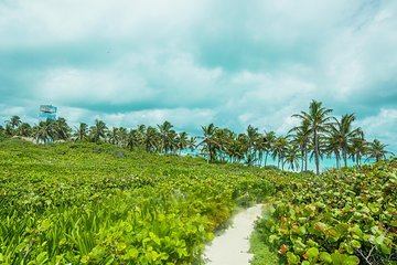 Isla Contoy and Isla Mujeres Tour with Snorkeling from Cancun or Playa del Carmen