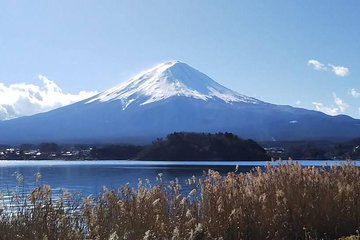 Mt. Fuji day trip with a qualified tour guide accompanied by a private van