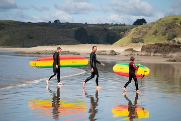 SURFING LESSONS (2 hrs)
