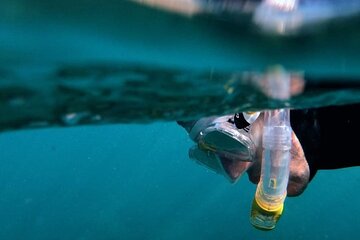Afternoon Snorkeling Excursion in Gran Canaria
