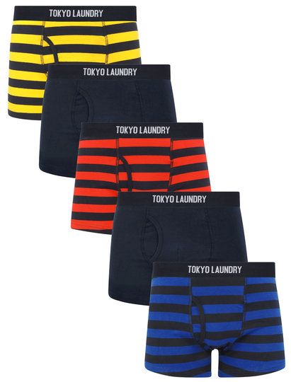 Mens Underwear Zavi (5 Pack) Cotton Sports Boxer Shorts Set in Bright Stripe - Tokyo Laundry / S - Tokyo Laundry