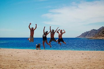 Ras Mohammed National Park: Snorkeling Trip