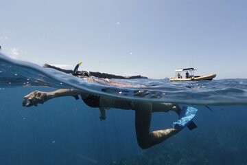 Afternoon Maui Snorkel & Snack