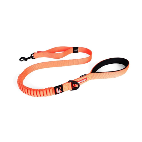 (Orange) EZY-DOG ZERO SHOCK LEAD (48 Inch)