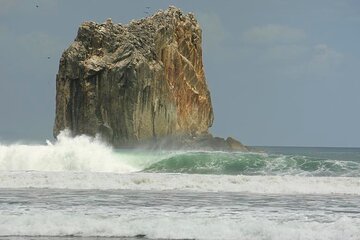 Surf All Day Boat to Witches Rock & Ollie's point