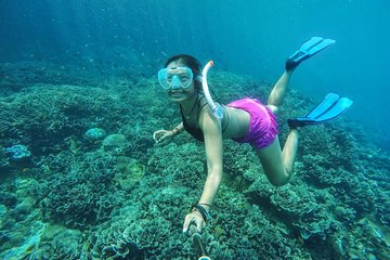 Best Bali Snorkeling At Blue Lagoon And Tanjung Jepun All-Inclusive