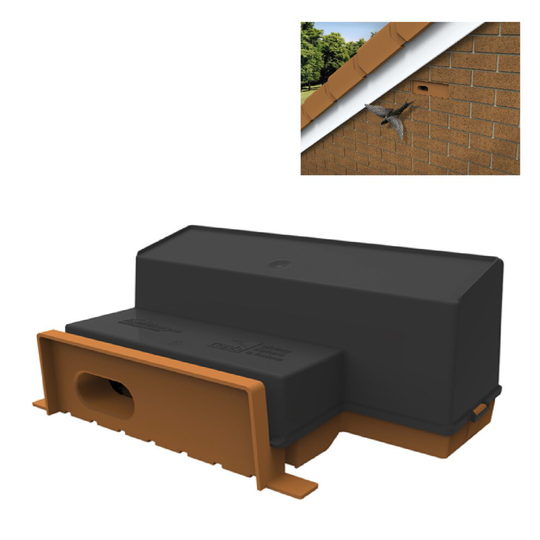 Swift Nesting Breeding Brick Box, Terracotta for Brick or Rendered Walls
