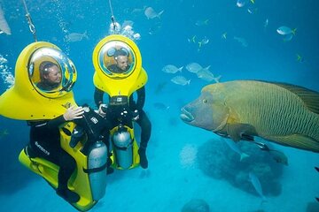 Punta Cana Experience: Scuba Diving, Scooter, Panoramic Glass Boat and Snorkel