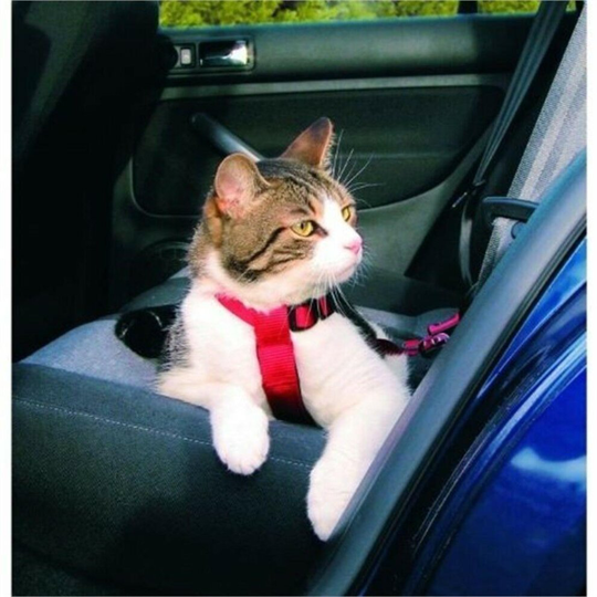 Trixie Car Harness For Cats