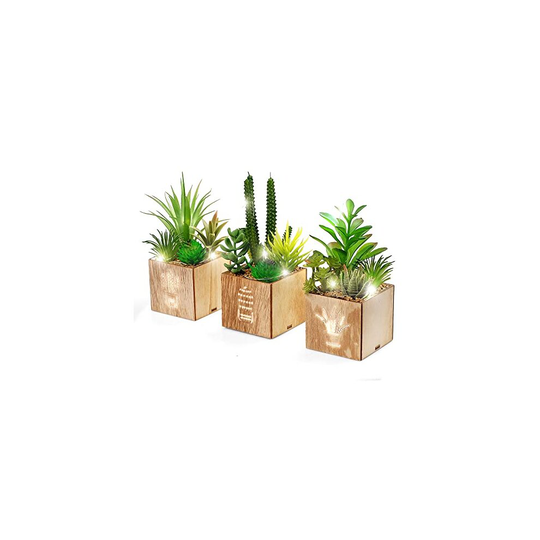 Set of 3 Artificial Succulents with Led Lights in Wooden Box, Artificial Plants Plastic Fake Topiary for Home/Office Decorations, Table Centerpie