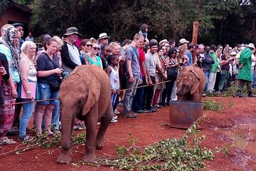 1 Day Visit To Masai village &Cultural Day Tour Experience From Nairobi