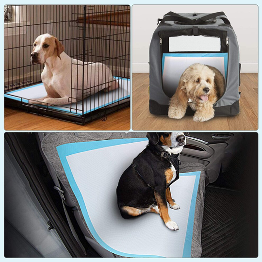 Pads Large Size Pack of 50 Super Absorbent Puppy Training Pads Anti Slip Dog training pads - No Leaking Quick Dry Dog Pads