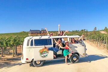 VW Bus Wine Tour of Temecula: The Ultimate California Experience