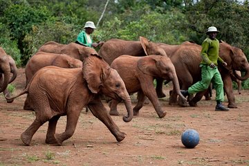 6.a.m To 5.p.m Nairobi Park/elephant Sanctuary/giraffe Centre/karen Blixen/bomas
