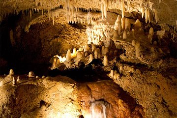 Harrison's Cave Tram Tour and Boat Cruise Snorkel Adventure