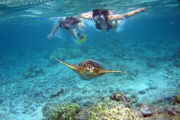 Discover Snorkeling Tour in Panama City