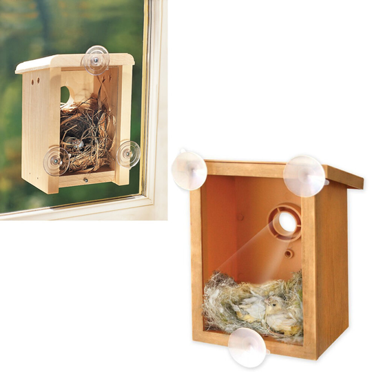 Window Mounted I Spy Bird House Box Watch Nature Nesting with Clear Back Plastic