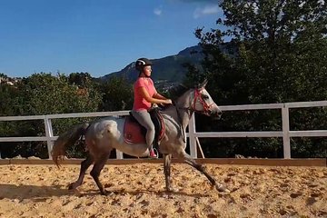 THE HORSE RIDING SCHOOL TOUR (activity, nature & joy)