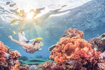 Best Snorkeling Activity in Blue Lagoon Bali