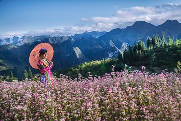 2-Day Guided Cultural Tour of Ha Giang and Trek to Dong Van