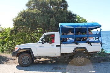 Tugboat and Reef Snorkel Tour in Curacao