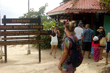 Tour at Cahuita National Park guided hike and exuberant wildlife and Snorkel