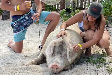 Swimming Pigs Ultimate Tour Fishing/Snorkeling/Lunch Shared