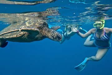 Makena Landing - Private - SUP Turtle Town Snorkel & Lesson
