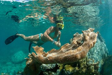 Cruz Bay Picnic Snorkel Sail