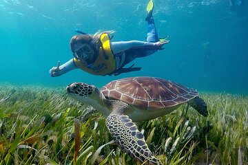 Snorkeling, Jet Ski and parasail from Riviera Maya