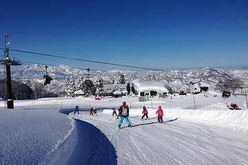 Snow play and ski experience at Ski resort by bullet train from Tokyo